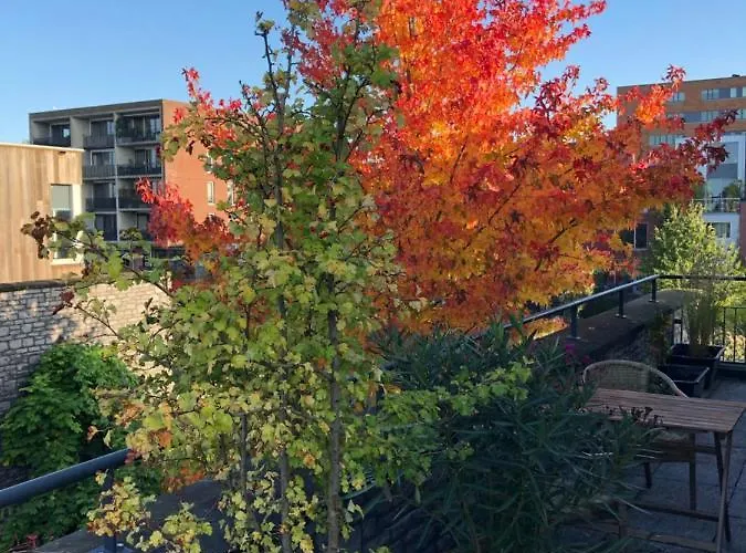 De Zwanebloem Alojamento de Acomodação e Pequeno-almoço