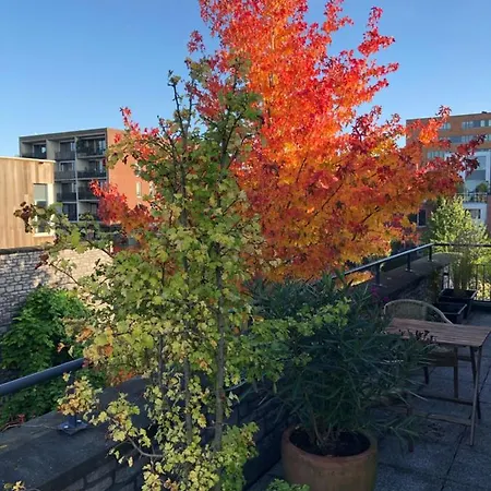 De Zwanebloem Bed & Breakfast