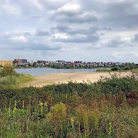 De Zwanebloem