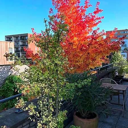 De Zwanebloem 4* Amsterdam