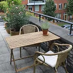 De Zwanebloem 4*